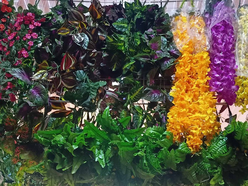 Лианы 2 купить в Канске у Роза Мэри