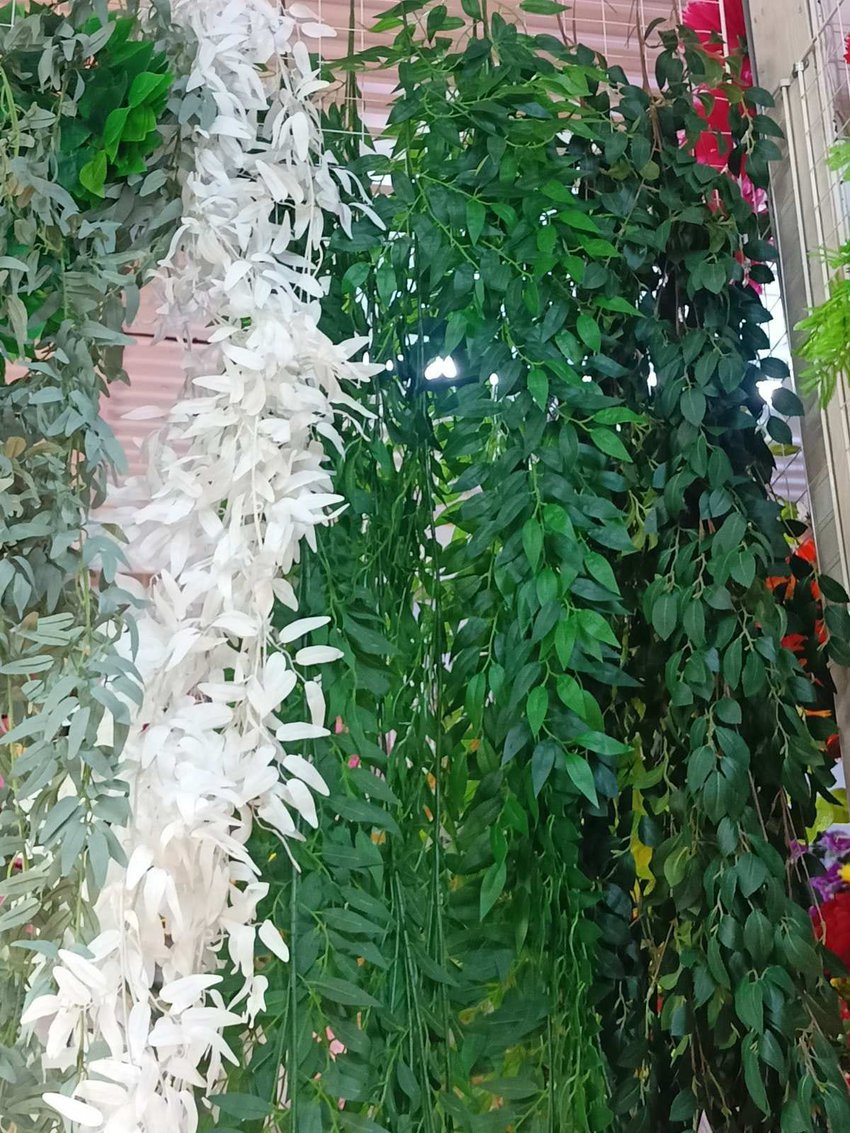Лианы 5 купить в Канске у Роза Мэри